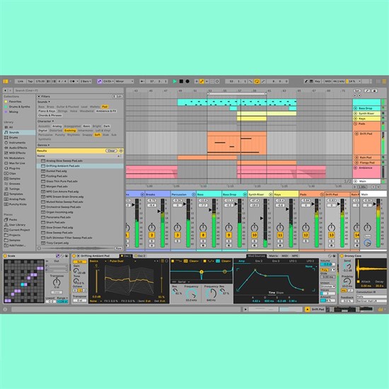Ableton Live 12 Intro Music Production Software (Download Code Only)