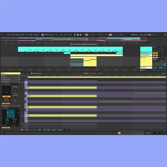 Ableton Live 12 Standard Music Production Software (Download Code Only)