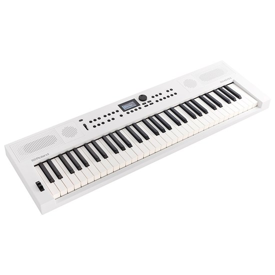 Roland GO:KEYS 5 61-Key Music Creation Keyboard (White)