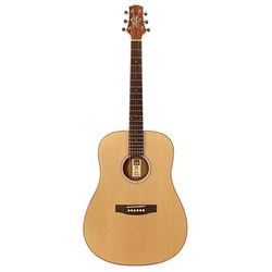 Ashton D20 Acoustic Guitar (Natural Matte)