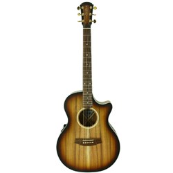 Cole Clark AN2EC BLBL SUN Acoustic Electric Guitar w/ Cutaway Sunburst inc Case