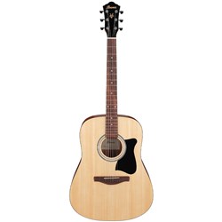 Ibanez V40 OPN Acoustic Guitar (Open Pore Natural)