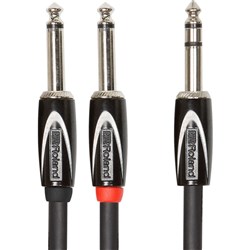 Roland RCC-10-TR28V2 TRS to 2TS (10ft) Cable