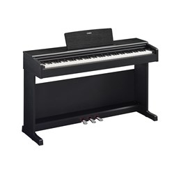 Yamaha YDP-145 Arius Series Digital Piano inc Bench (Black)