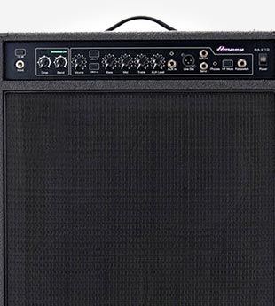 Bass Amps, Cabs & Heads