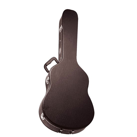Ashton D20SCEQ Acoustic Guitar w/ Cutaway & Pickup w/ APWCC Case (Natural Matt)