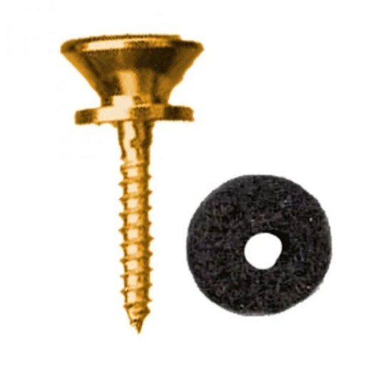 Dr. Parts GPK56G End Pin w/ End Pin Felt & Screw (Gold)