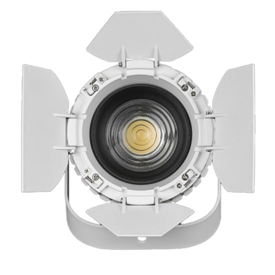 Event Lighting F2X48 Fresnel 2x48W CW and WW LED with Zoom and Barn Doors (White)