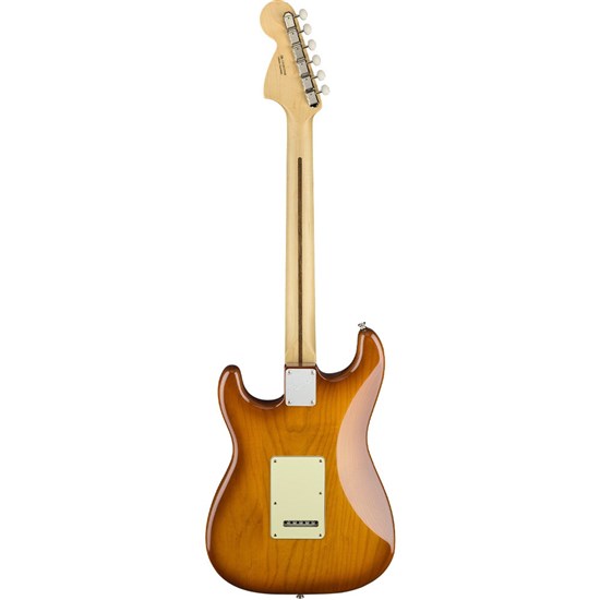 Fender American Performer Stratocaster Rosewood Finger Board (Honey Burst) w/ Gig Bag