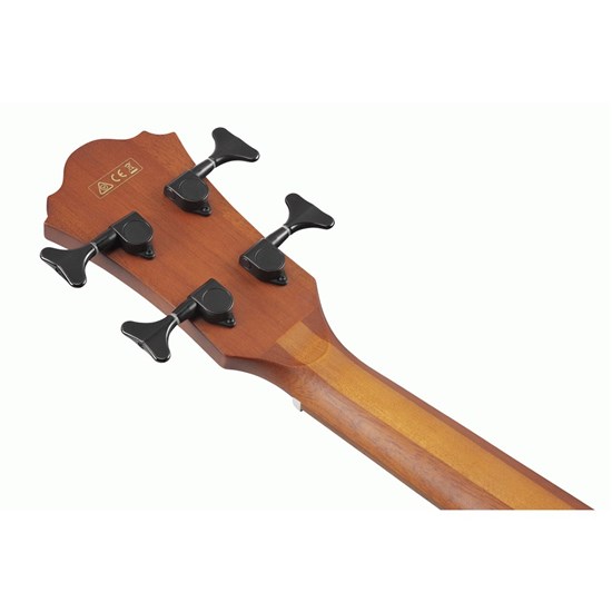 Ibanez AEGB24E BKH Acoustic Electric Bass Guitar (Black High Gloss)