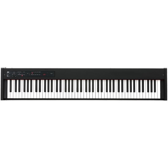 Korg D1 Digital Piano w/ RH3 Quality 88 Key Weighted Action (Black)
