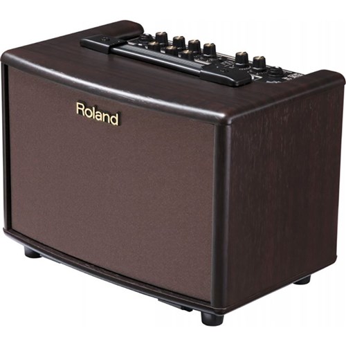 Roland AC-33 Acoustic Chorus Guitar Amplifier (Rose Wood)
