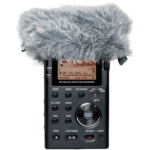 Tascam WS11 Windscreen for DR-Series Handheld Recorders