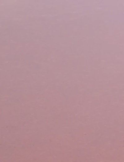 Pink gradient